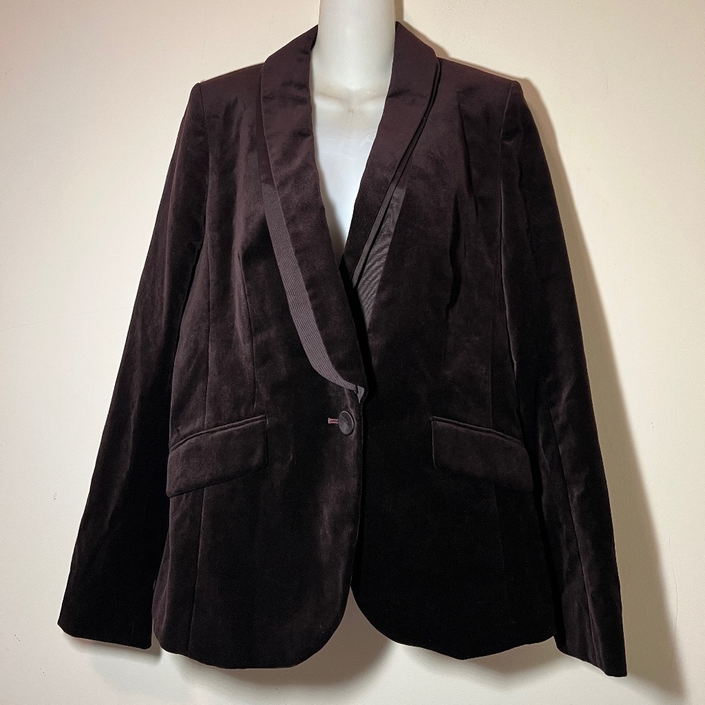 NWT Anne Taylor Loft Brown Lined Jacket Blazer Size 6